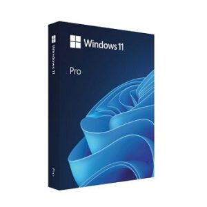 Microsoft Windows 11 Home OEM 64 Bits Español